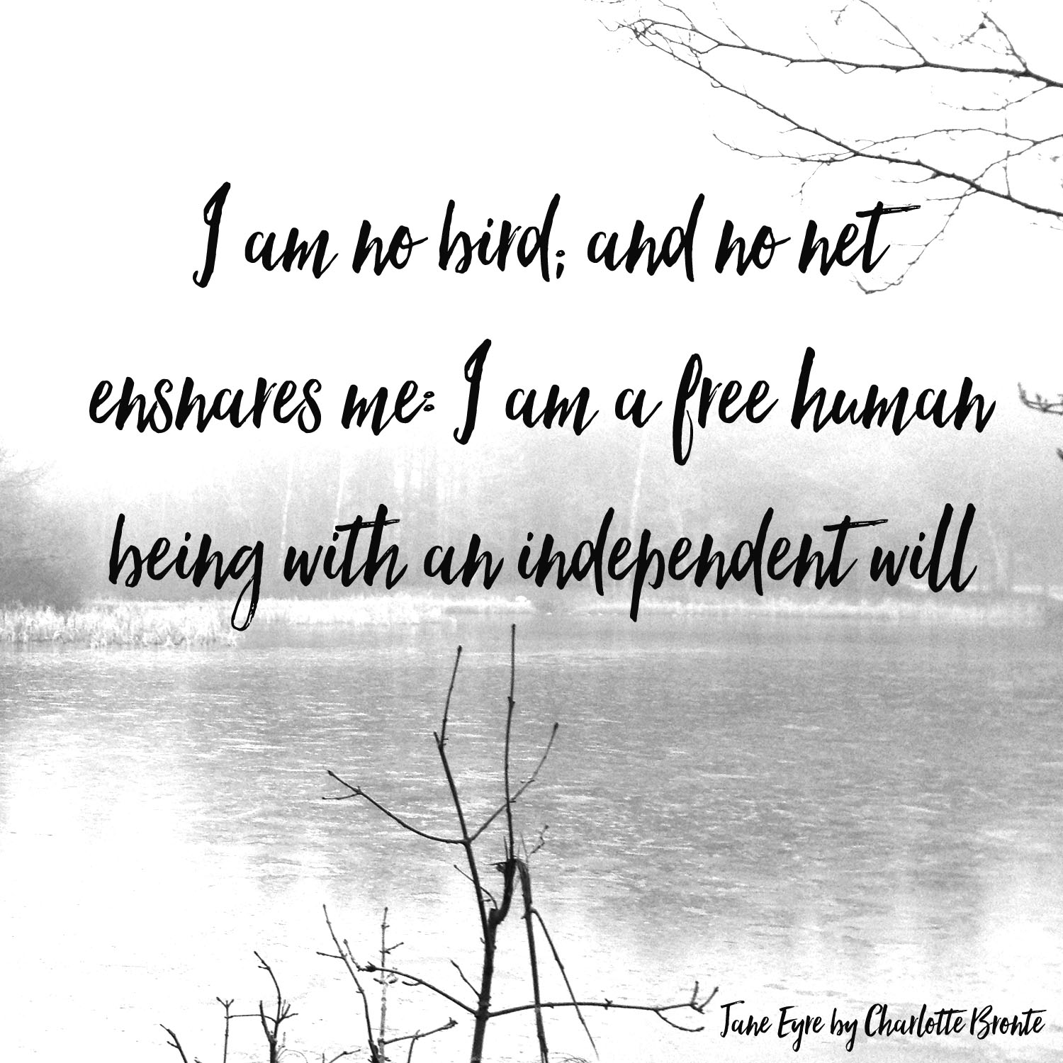 i am no bird and no net ensnares me jane eyre quotes